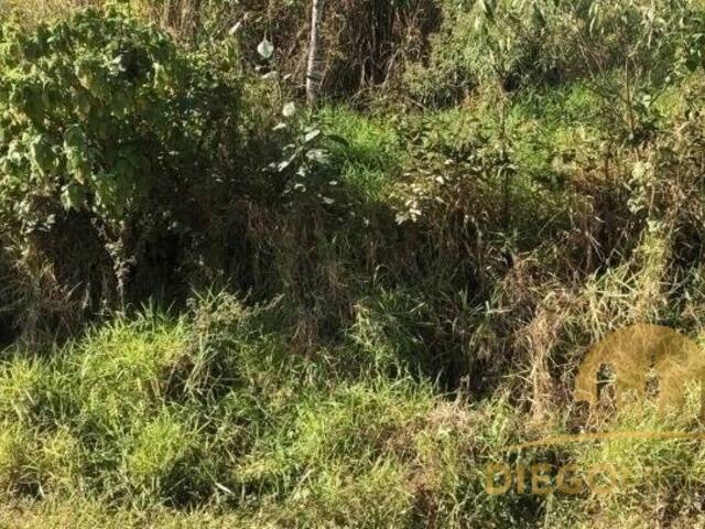 Terreno para Venda em Mairiporã - 2