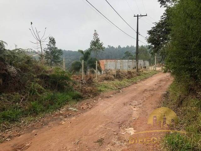 Terreno para Venda em Mairiporã - 4