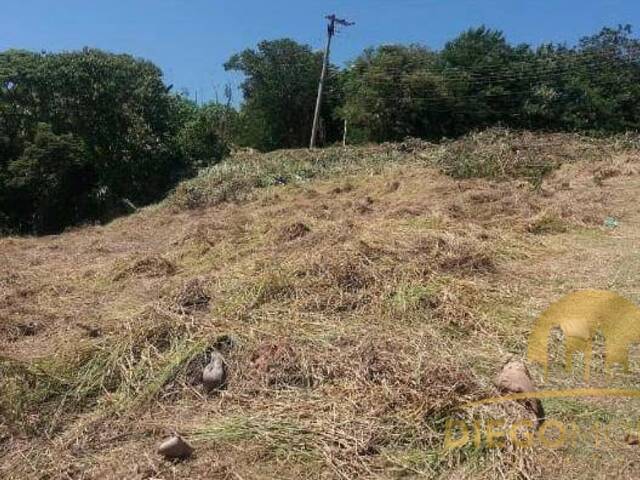 Terreno para Venda em Mairiporã - 4