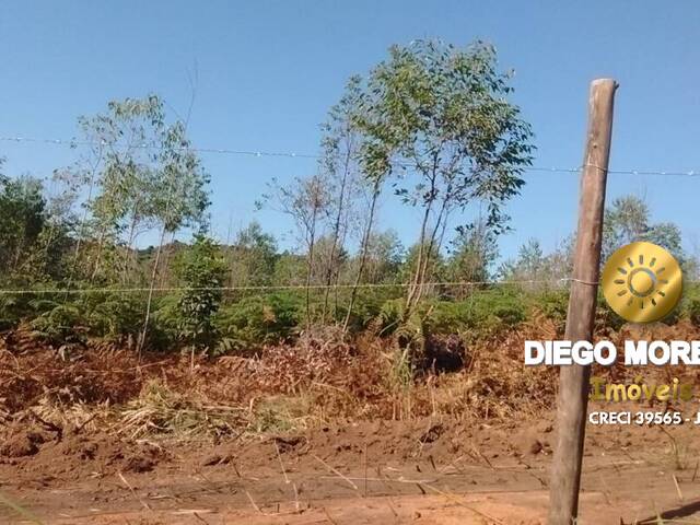 #TR169 - Terreno para Venda em Mairiporã - SP - 3