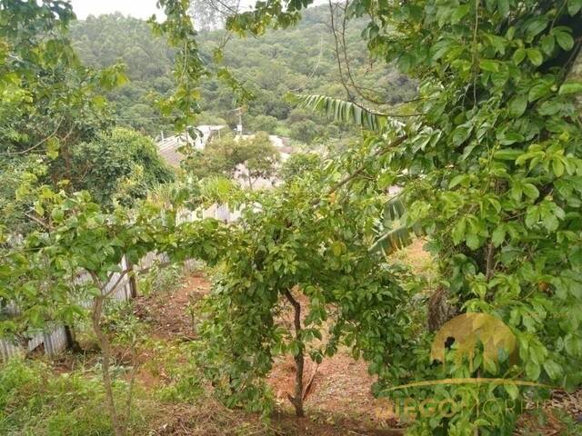 Terreno para Venda em Mairiporã - 5