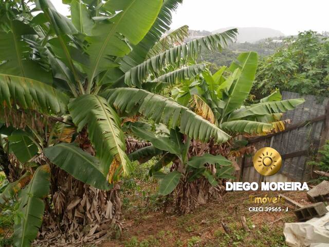 #TR176 - Terreno para Venda em Mairiporã - SP - 3
