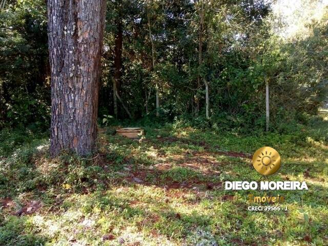 #TR177 - Terreno em condomínio ou associação para Venda em Mairiporã - SP - 2