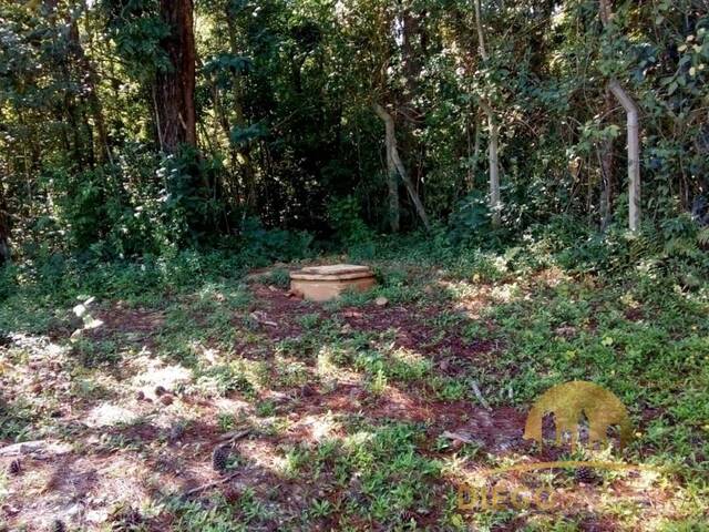 Terreno em condomínio para Venda em Mairiporã - 5
