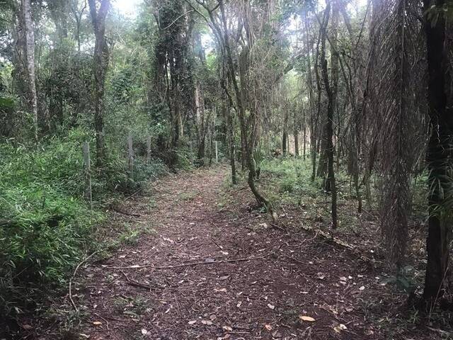 Sítio para Venda em Atibaia - 4