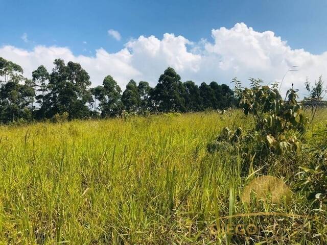 Terreno para Venda em Mairiporã - 5