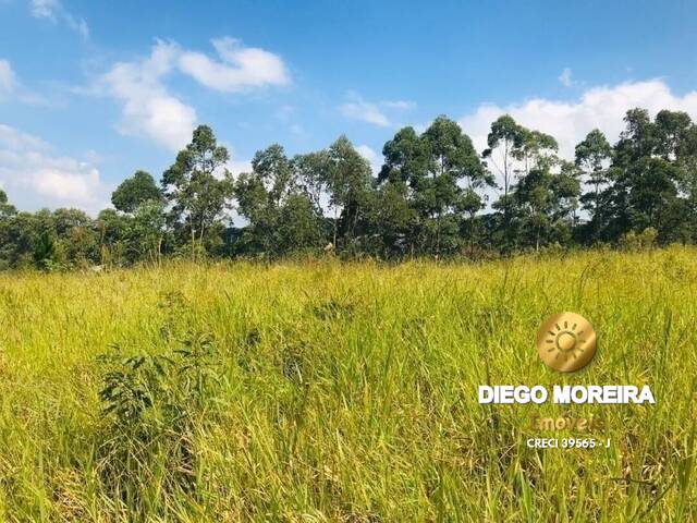 #TR181 - Terreno para Venda em Mairiporã - SP - 2