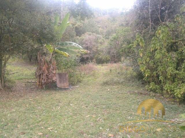 Sítio para Venda em Mairiporã - 4