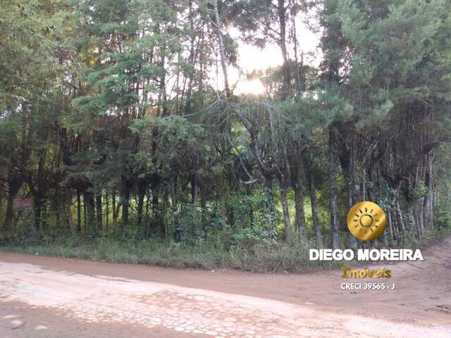 #TR232 - Terreno para Venda em Mairiporã - SP - 2