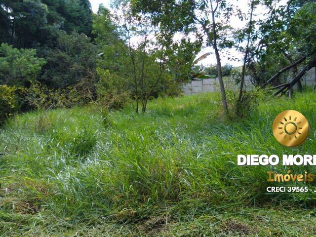 #TR232 - Terreno para Venda em Mairiporã - SP - 3