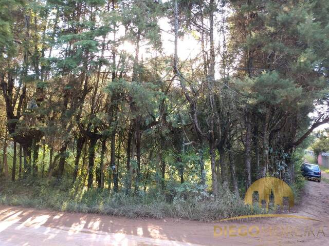 Terreno para Venda em Mairiporã - 5