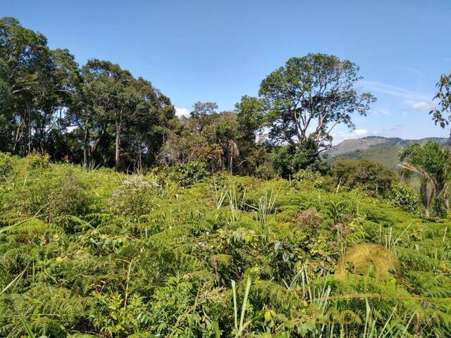 Terreno para Venda em Mairiporã - 5