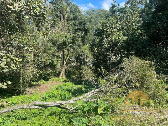 Terreno para Venda em Mairiporã - 4