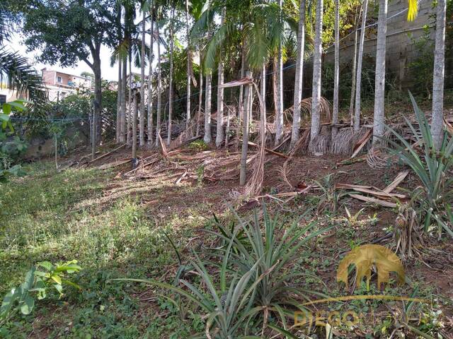 Terreno para Venda em Mairiporã - 5