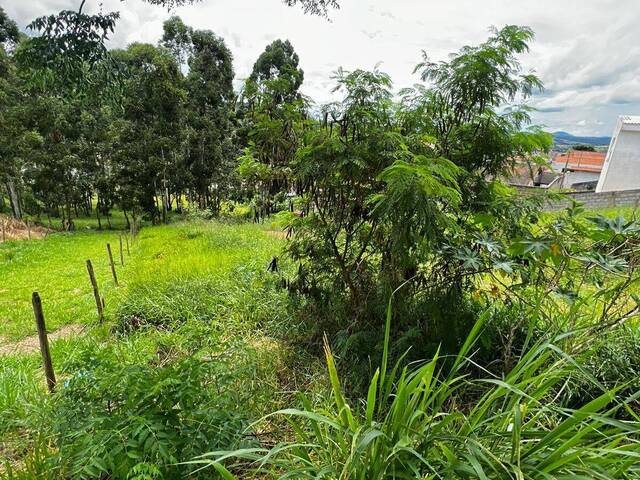 Terreno para Venda em Bom Jesus dos Perdões - 5