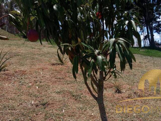 Terreno para Venda em Mairiporã - 4