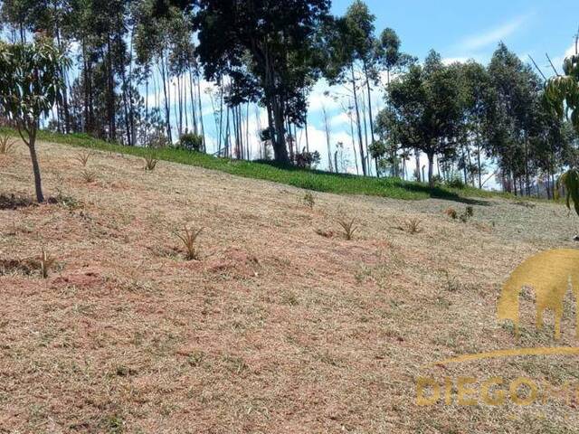Terreno para Venda em Mairiporã - 5