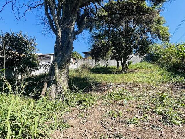 Terreno para Venda em Mairiporã - 3