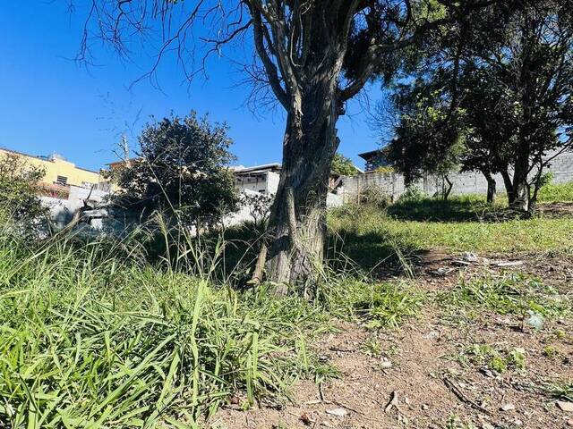 Terreno para Venda em Mairiporã - 4