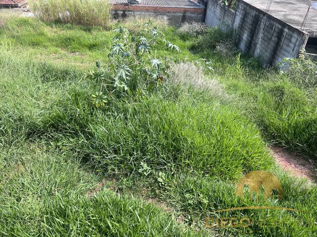 Terreno para Venda em Mairiporã - 3