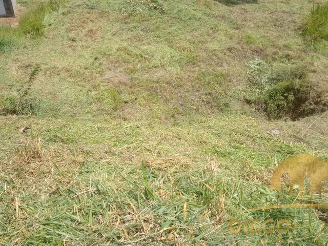 Terreno para Venda em Mairiporã - 4