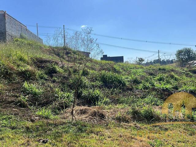 Terreno para Venda em Mairiporã - 4