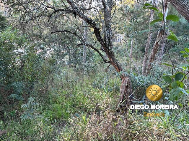 #TR337 - Terreno para Venda em Mairiporã - SP - 3