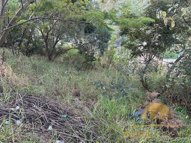 #TR337 - Terreno para Venda em Mairiporã - SP - 3