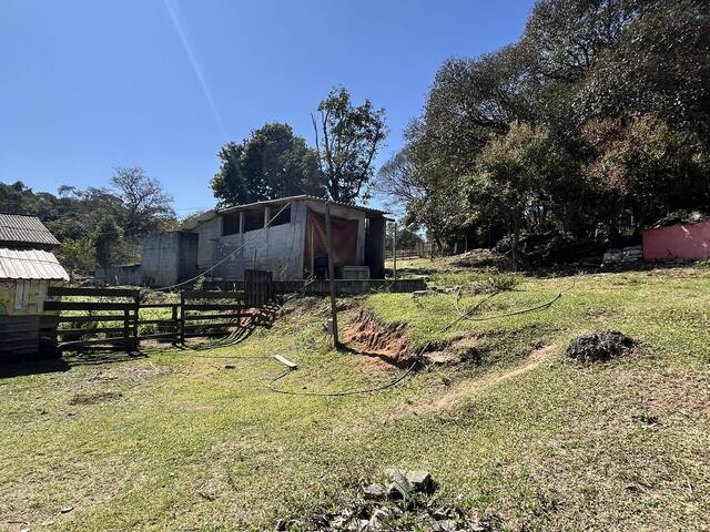 Sítio para Venda em Franco da Rocha - 5