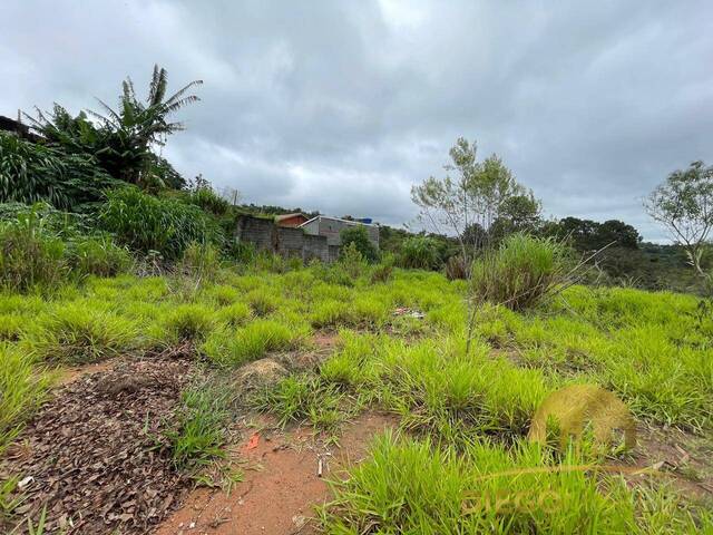 Terreno para Venda em Mairiporã - 5