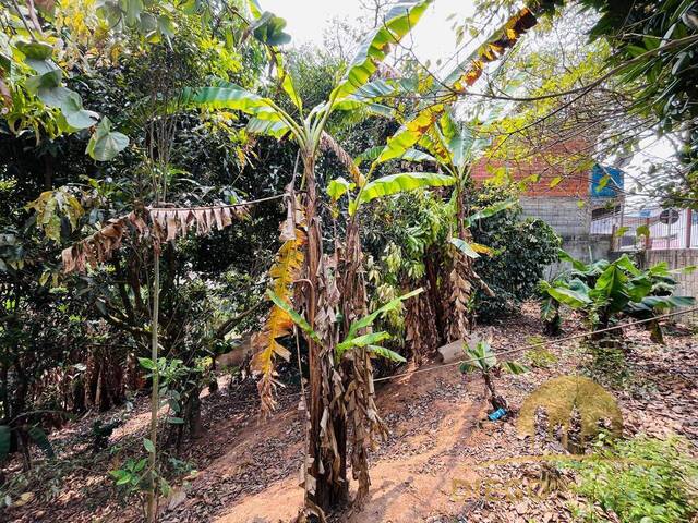 Terreno para Venda em Mairiporã - 4