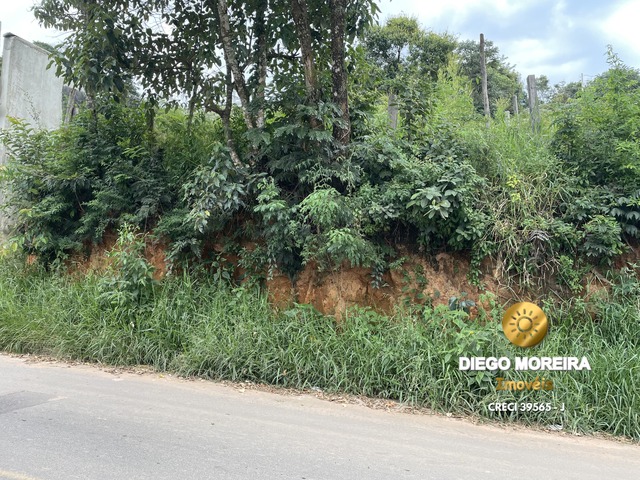 #TR368 - Terreno para Venda em Mairiporã - SP - 3