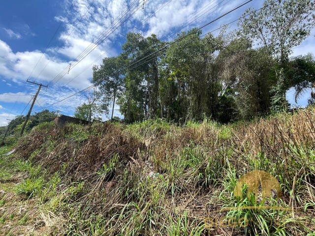 Terreno para Venda em Mairiporã - 4