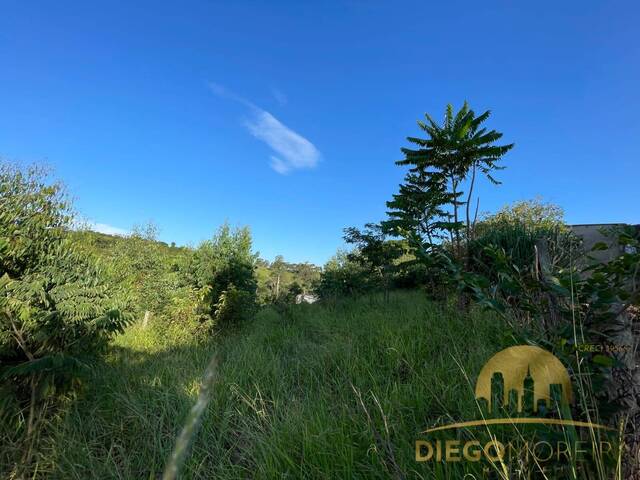 Terreno para Venda em Mairiporã - 5