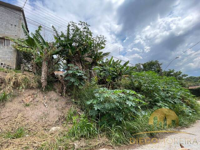 Terreno para Venda em Mairiporã - 5