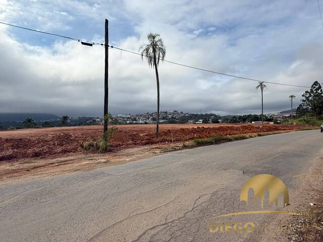 #TR247 - Área indústrial e comercial para Venda em Mairiporã - SP - 1