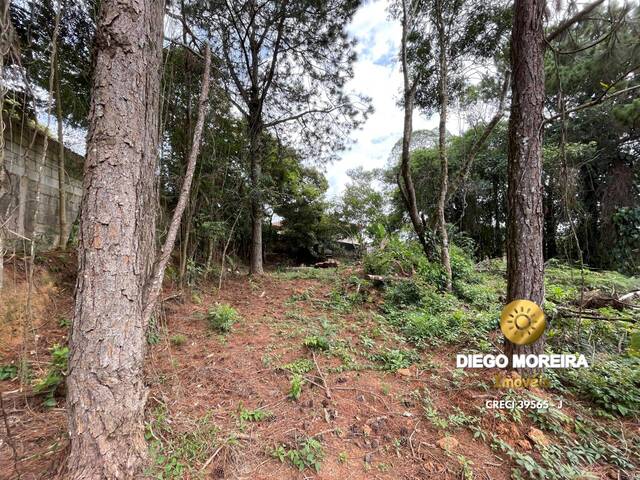 #TR380 - Terreno para Venda em Mairiporã - SP - 2
