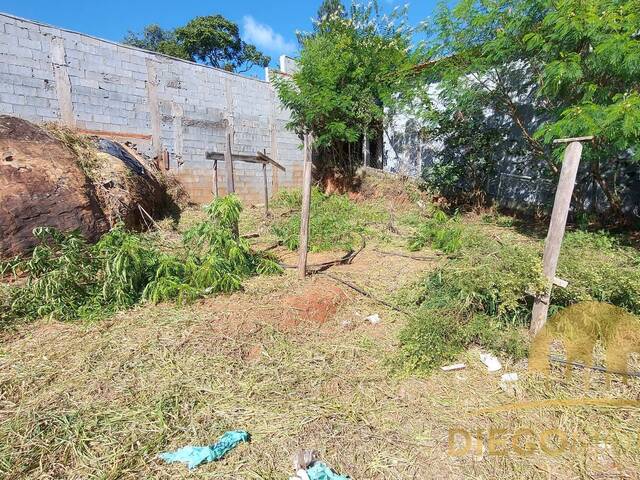 Terreno para Venda em Mairiporã - 4