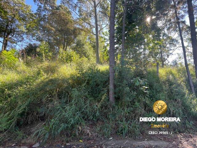 Venda em Mato Dentro - Mairiporã