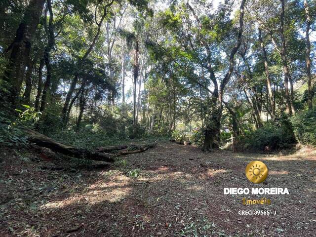 Venda em Jundiaizinho (Terra Preta) - Mairiporã