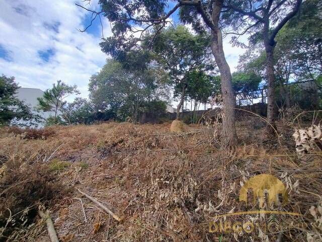 Terreno para Venda em Mairiporã - 5