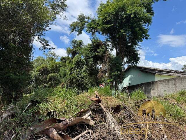 Terreno para Venda em Mairiporã - 4