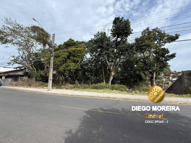 #TR31 - Terreno para Venda em Mairiporã - SP - 2