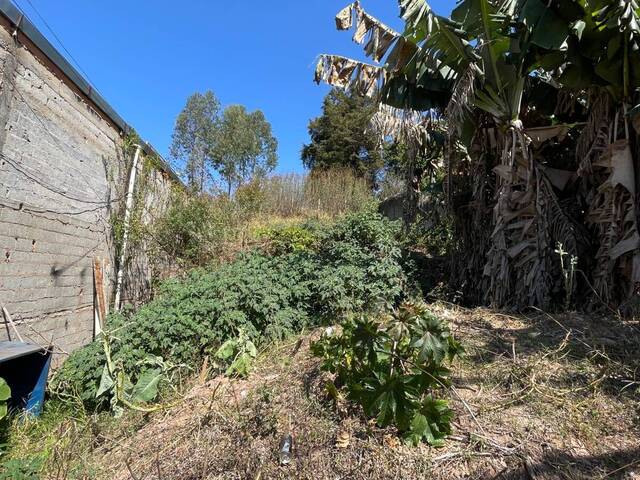 Terreno para Venda em Mairiporã - 5