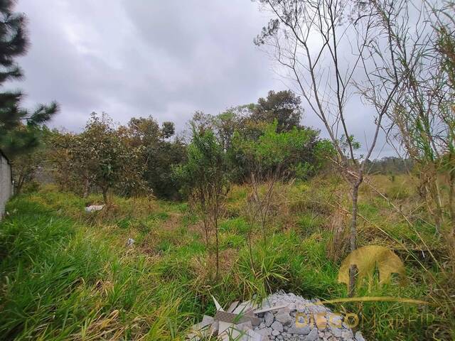 Terreno em condomínio para Venda em Mairiporã - 5