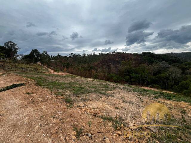 Terreno para Venda em Franco da Rocha - 4
