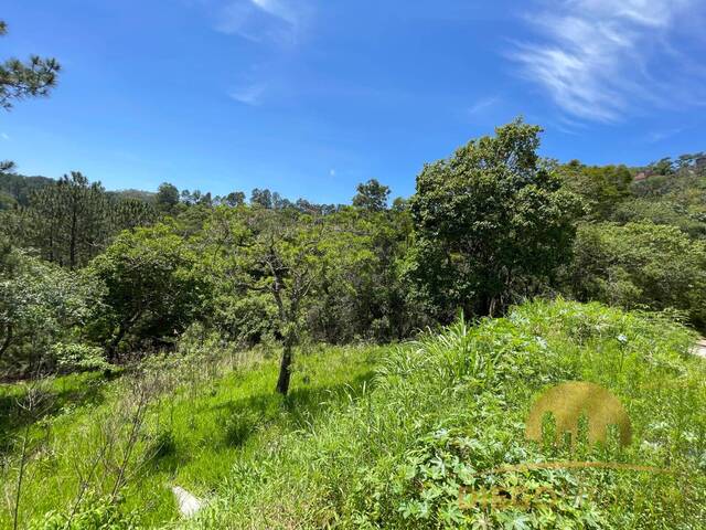 #TR419 - Terreno para Venda em Mairiporã - SP - 2