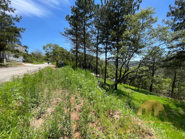 #TR419 - Terreno para Venda em Mairiporã - SP - 3