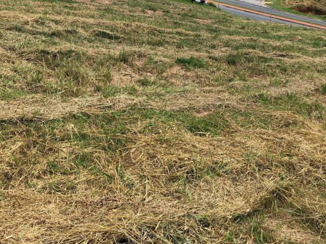 #TR425 - Terreno para Venda em Mairiporã - SP - 3