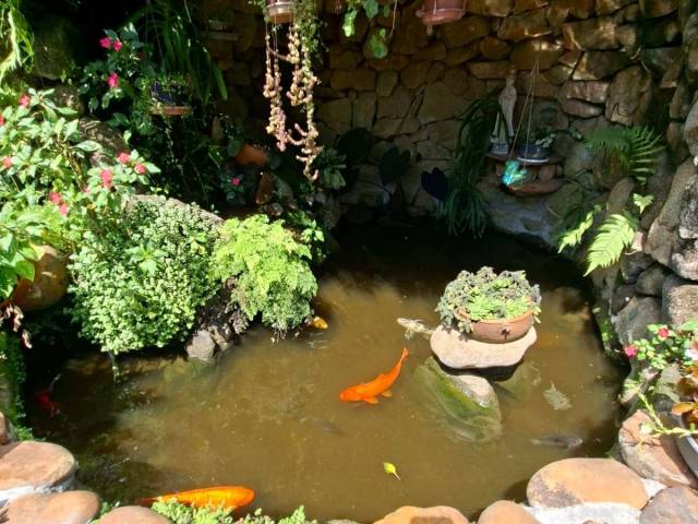 #CH233 - Chácara em condomínio ou associação para Venda em Mairiporã - SP